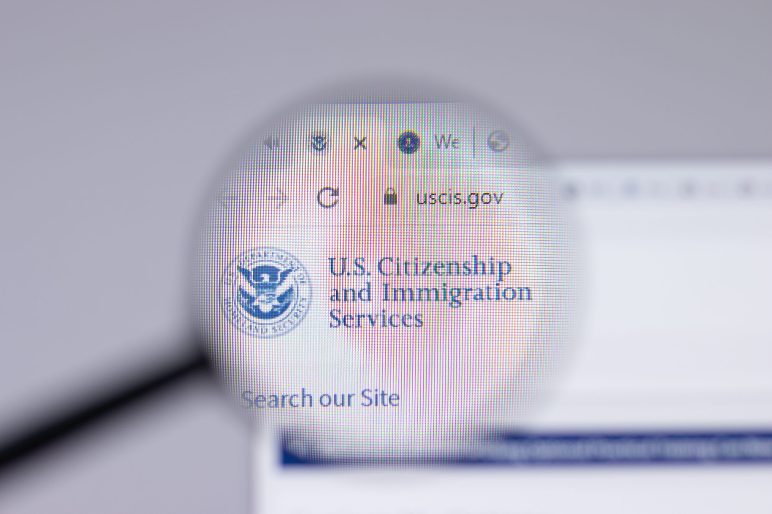 Ultimate Guide to Meeting the USCIS Translation Requirements